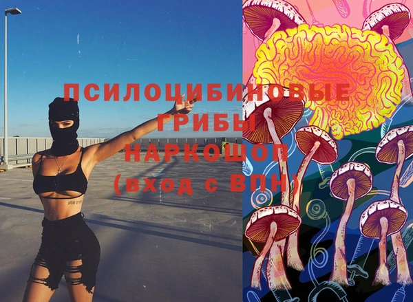 прущие крисы Алзамай