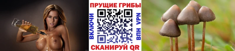 Псилоцибиновые грибы MAGIC MUSHROOMS  дарк нет Telegram  Сельцо 