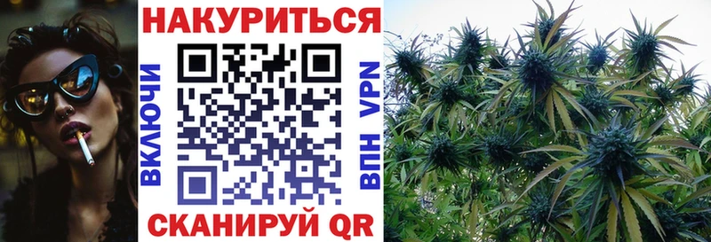 Шишки марихуана Ganja  Сельцо 